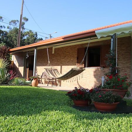 Gasthaus Casa Flor Da Laranjeira Ponte de Lima Exterior foto